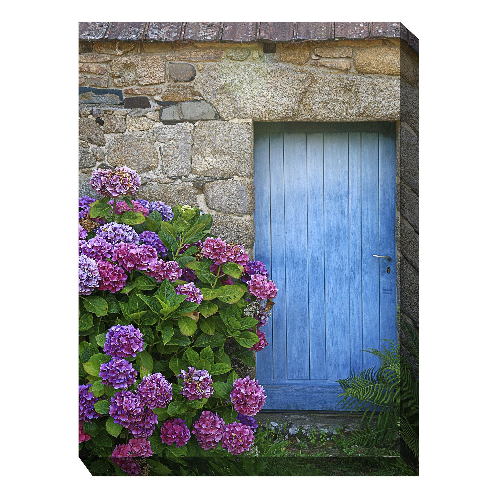 All Weather All Season Outdoor Canvas Art Swimsuits For All