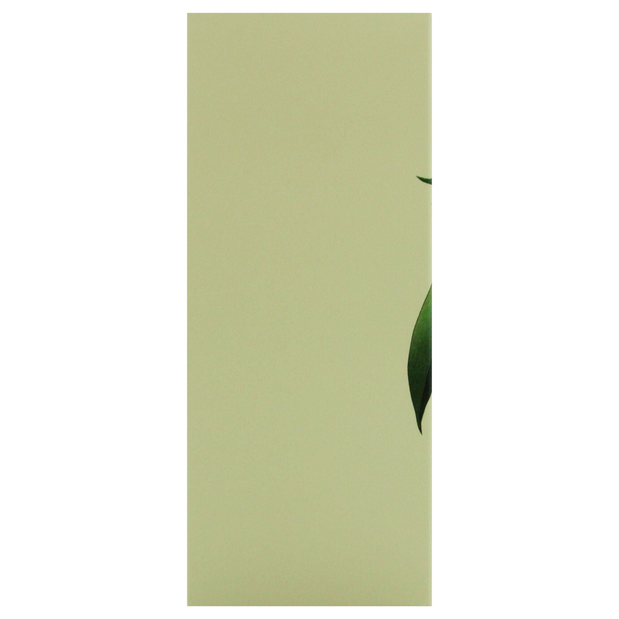 4711 Acqua Colonia - Lychee and White Mint by Muelhens for Unisex - 3.4 oz EDC Spray, Clear, alternate image number 5