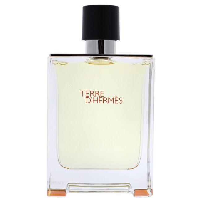 Terre DHermes by Hermes for Men - 3.3 oz EDT Spray, , alternate image number 5