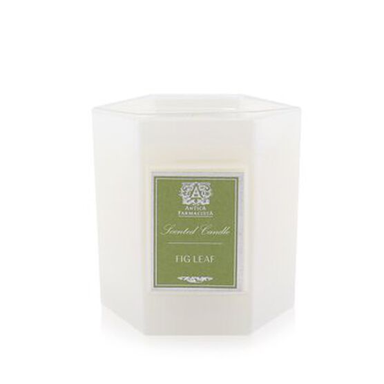 Candle - Fig Leaf, Fig Leaf, hi-res image number null