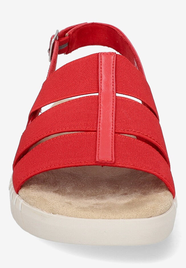 Maggie Sandal, , alternate image number null