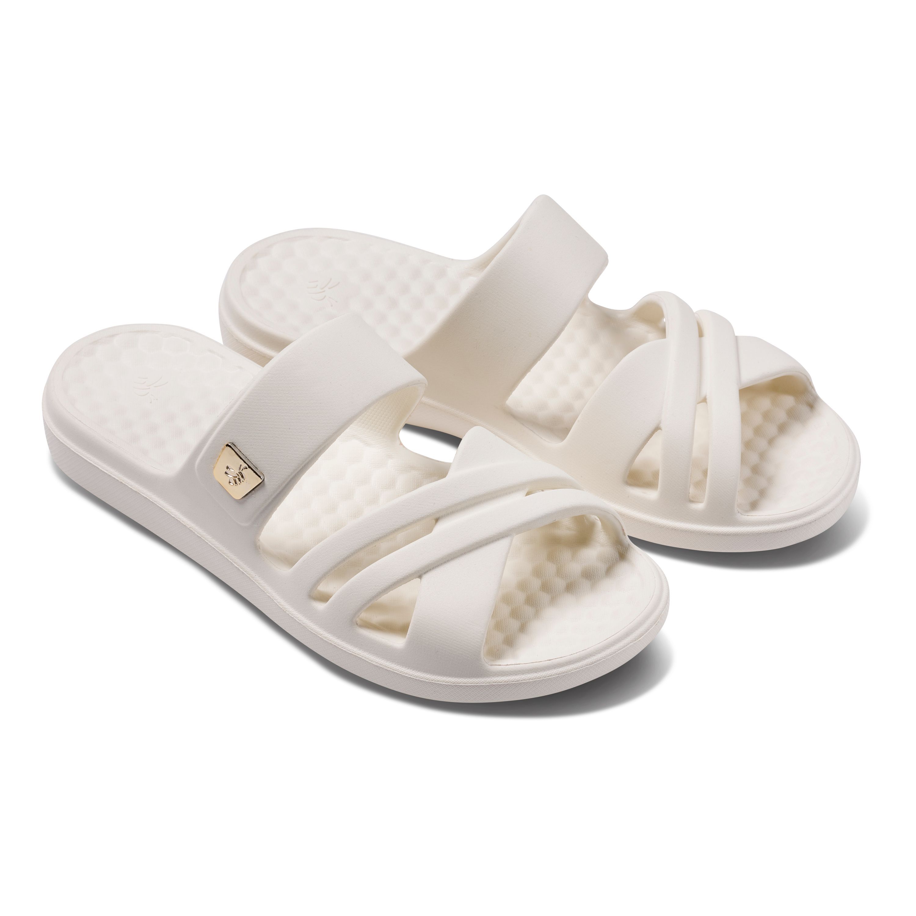 Colette Slide, BONE, hi-res image number 0