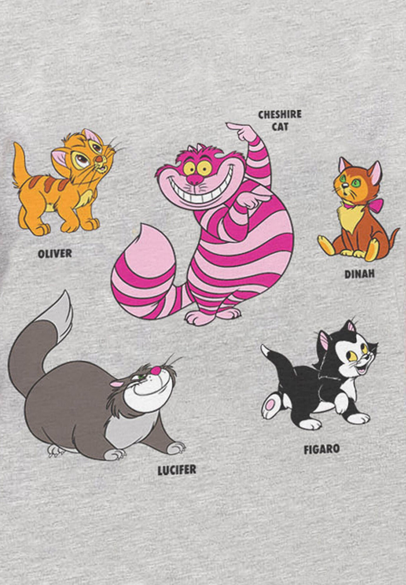Disney Cats Short Sleeve T Shirt Cheshire Cat Figaro Gray Swimsuits For All