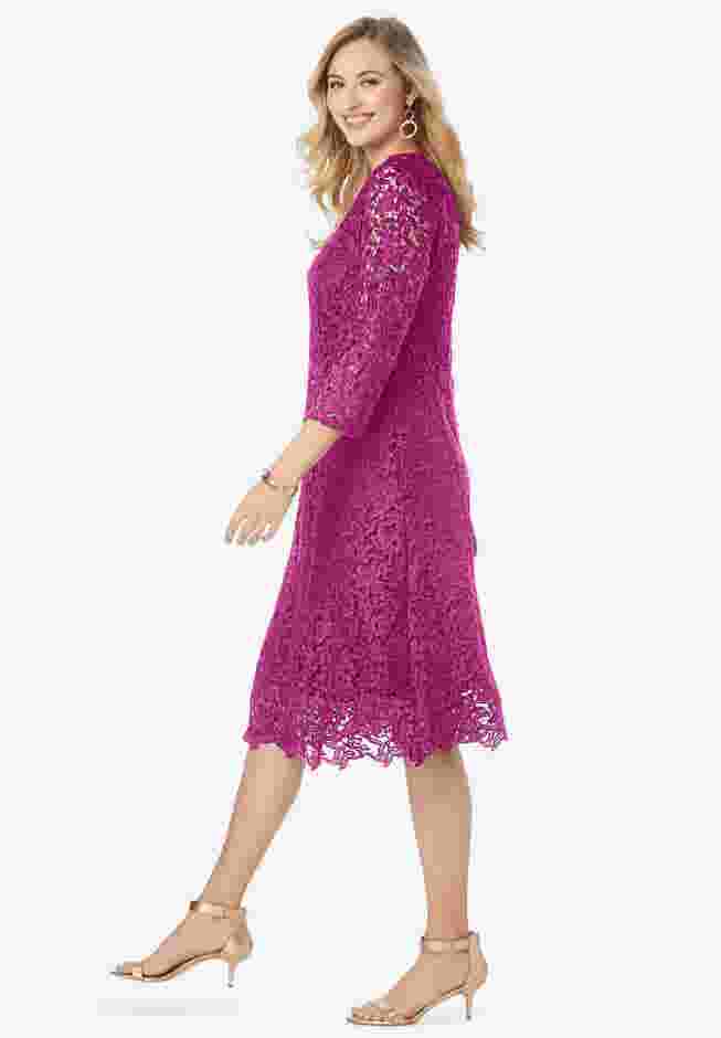 Lace Fit & Flare Dress image number 1