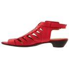 The Kadie Shootie image number null