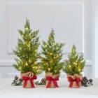Pre-Lit Tabletop Trees, Set of 3 image number null