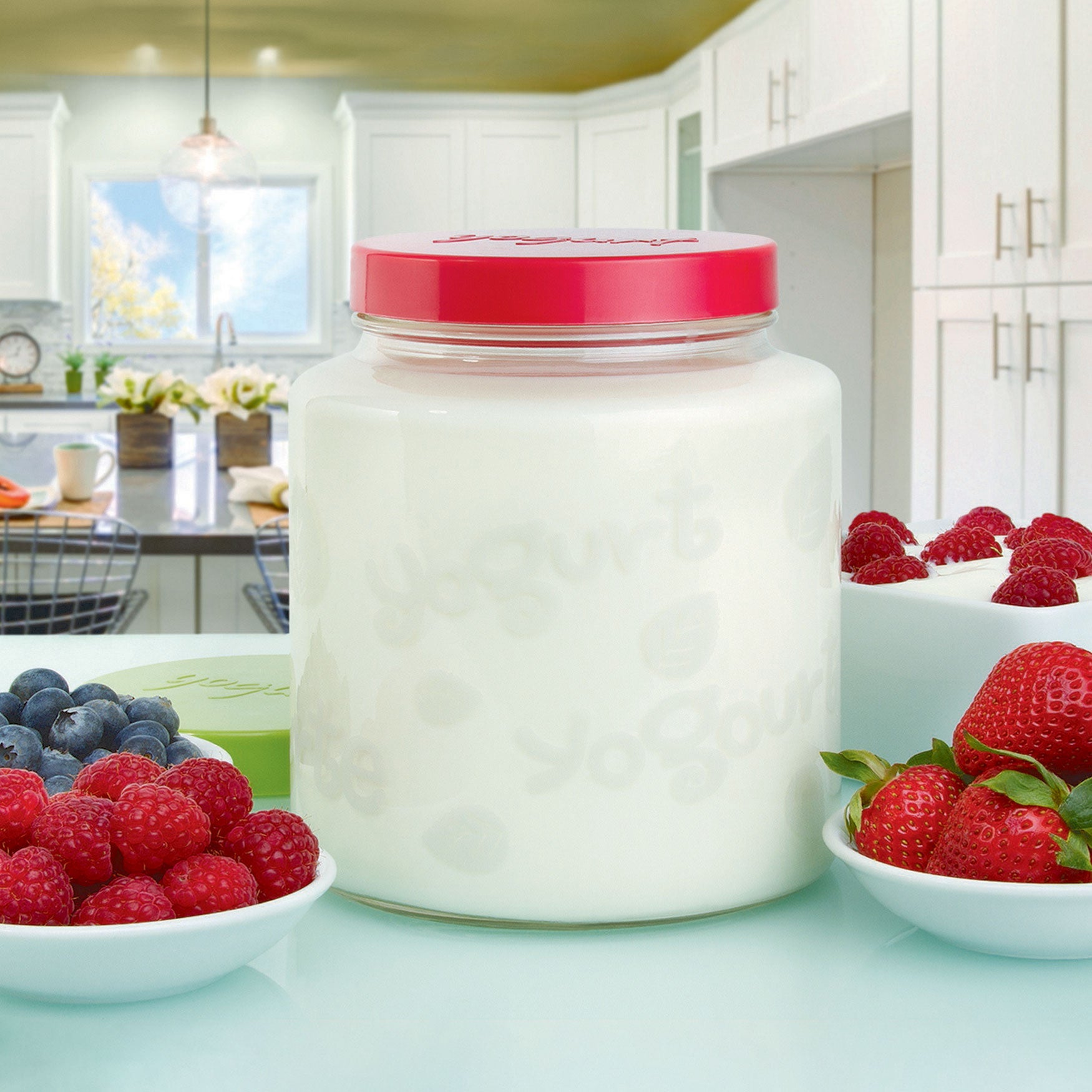 64 Oz Glass Jar with lid for Euro Cuisine YM260 YM360 YM460 Yogurt and Greek Yogurt Maker