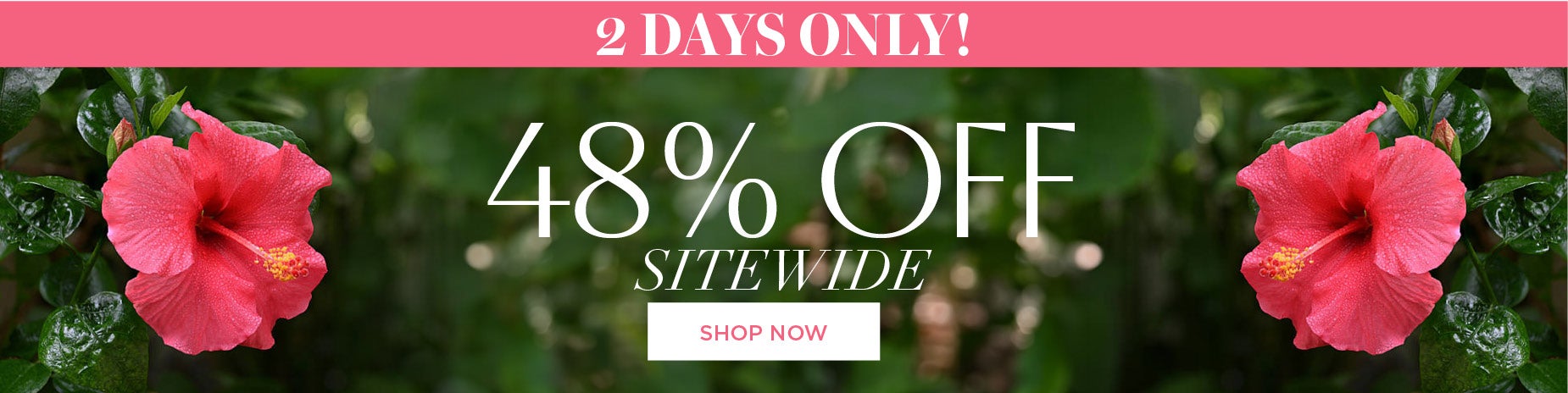 2 DAYS ONLY: 48% OFF SITEWIDE